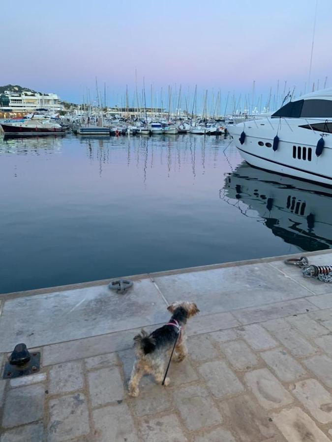 Cannes Old Port, Seafront & Seaview, Yacht Show Port Экстерьер фото